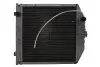 Радиатор двигателя, главный THERMOTEC D7AG054TT (фото 1)