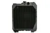 Радиатор двигателя, главный THERMOTEC D7AG061TT (фото 1)