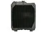 Радиатор двигателя, главный THERMOTEC D7AG061TT (фото 2)