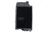 Радиатор THERMOTEC D7AG077TT (фото 1)