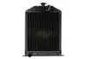 Радиатор двигателя, главный THERMOTEC D7AG115TT (фото 1)