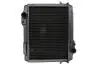 Радиатор двигателя, главный THERMOTEC D7AG129TT (фото 1)