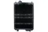 Радиатор двигателя, главный THERMOTEC D7AG137TT (фото 1)