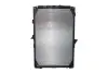 Радиатор двигателя, главный THERMOTEC D7DA008TT (фото 2)