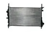 Радиатор THERMOTEC D7G017TT (фото 2)