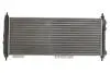 Радиатор двигателя, главный THERMOTEC D7X046TT (фото 2)