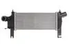 Интеркуллер THERMOTEC DA1001TT (фото 1)