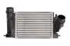 Интеркуллер THERMOTEC DA1005TT (фото 1)