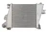 Интеркуллер THERMOTEC DA1012TT (фото 2)