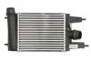 Інтеркулер NISSAN JUKE, PULSAR 1.2 05.14- THERMOTEC DA1014TT (фото 1)