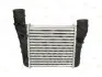 Інтеркулер THERMOTEC DAA003TT (фото 2)