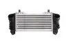 Интеркуллер THERMOTEC DAA007TT (фото 1)