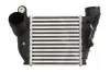 Интеркуллер THERMOTEC DAA008TT (фото 1)