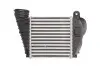 Интеркуллер THERMOTEC DAA009TT (фото 2)