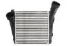 Інтеркулер (права сторона) AUDI Q7, PORSCHE CAYENNE, VW TOUAREG 3.2-5.0D 09.02-03.18 THERMOTEC DAA020TT (фото 1)