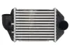 Інтеркулер THERMOTEC DAA028TT (фото 1)