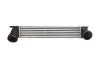 Интеркуллер THERMOTEC DAB005TT (фото 1)