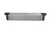 Интеркуллер THERMOTEC DAB005TT (фото 2)