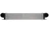 Интеркуллер THERMOTEC DAB006TT (фото 1)