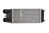 Интеркуллер THERMOTEC DAC003TT (фото 1)