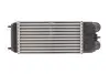 Интеркуллер THERMOTEC DAC003TT (фото 2)