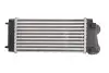 Интеркуллер THERMOTEC DAC004TT (фото 2)