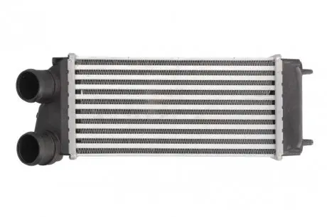 Интеркуллер THERMOTEC DAC004TT
