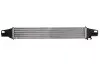 Интеркуллер THERMOTEC DAC008TT (фото 2)