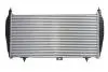 Интеркуллер THERMOTEC DAC010TT (фото 1)