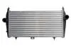 Интеркуллер THERMOTEC DAC010TT (фото 2)