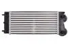 Інтеркулер DS DS 4, DS 5, CITROEN C4, C4 GRAND PICASSO I, C4 I, C4 II, C4 PICASSO I, DS4, DS5, PEUGEOT 3008, 308, 308 I, 5008, RCZ 1.6/1.6H 09.07-12.18 THERMOTEC DAC013TT (фото 2)
