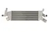 Интеркуллер THERMOTEC DAC022TT (фото 1)