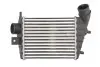 Інтеркулер THERMOTEC DAD001TT (фото 1)