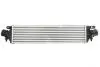 Інтеркулер ALFA ROMEO GIULIETTA, GIULIETTA/HATCHBACK 1.4/2.0D 04.10-12.20 THERMOTEC DAD005TT (фото 2)