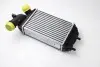 Интеркуллер THERMOTEC DAF001TT (фото 2)
