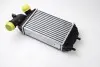 Интеркуллер THERMOTEC DAF001TT (фото 4)