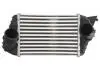 Інтеркулер FIAT STILO 1.9D 10.01-08.08 THERMOTEC DAF009TT (фото 1)