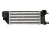 Інтеркулер THERMOTEC DAF013TT (фото 1)