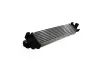 Интеркуллер THERMOTEC DAG002TT (фото 1)