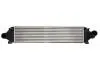 Інтеркулер VOLVO S60 II, S80 II, V40, V60 I, V70 III, FORD GALAXY II, GALAXY MK II, MONDEO IV, S-MAX 1.6/1.6ALK 04.10-12.16 THERMOTEC DAG030TT (фото 1)