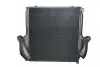 Интеркуллер THERMOTEC DAME001TT (фото 1)