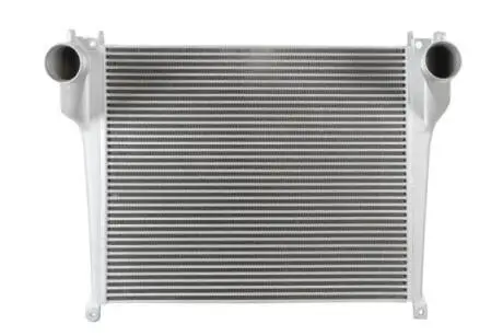 Інтеркулер THERMOTEC DAME012TT