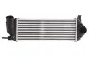 Интеркуллер THERMOTEC DAR006TT (фото 1)