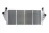Интеркуллер THERMOTEC DAR010TT (фото 2)