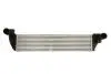 Интеркуллер THERMOTEC DAR024TT (фото 1)