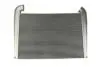 Интеркуллер THERMOTEC DASC005TT (фото 1)
