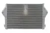 Інтеркулер THERMOTEC DASC010TT (фото 2)