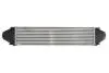 Інтеркулер THERMOTEC DAV007TT (фото 2)