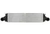 Інтеркулер THERMOTEC DAV012TT (фото 1)