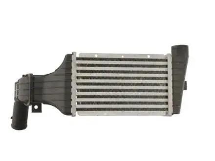 Интеркуллер THERMOTEC DAX001TT